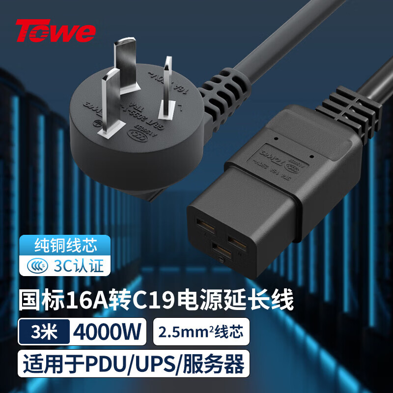 TOWE同為國標16A轉C19線2.5平無氧加粗精銅芯電源轉換線IDC機房數據中心電源線TW-F-25G16/C19 3M