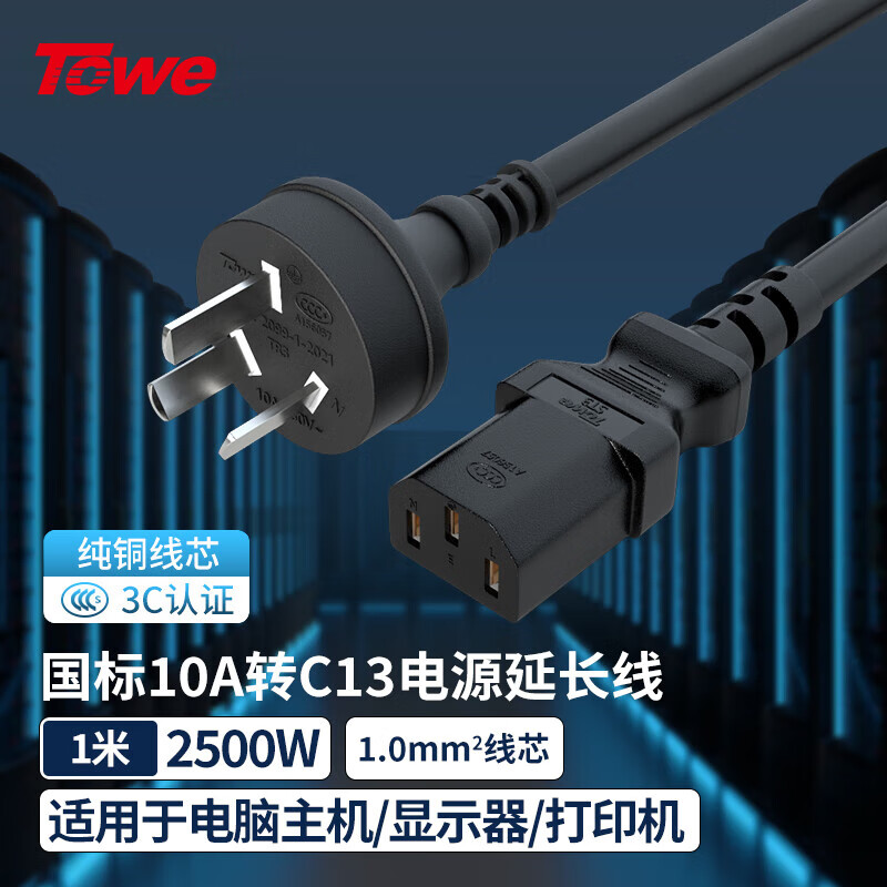 TOWE同為國標直頭10A轉C13線1.0平電腦電源線服務器電源線TW-F-10G10Z/C13 1M