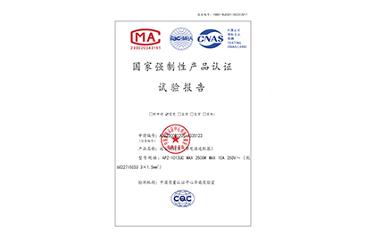 國家強制性產品認證試驗報告